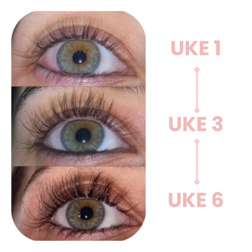 Lashé™ Vippeserum